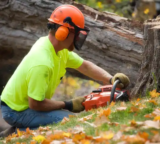 tree services Granite Falls